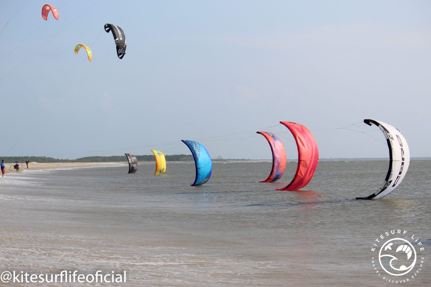 Kites in the water