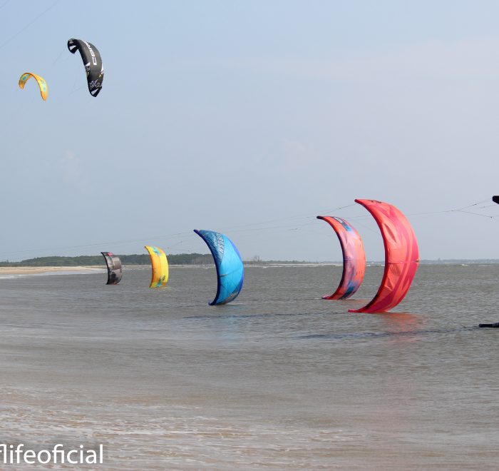 Kites in the water